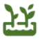 garden expert in wellington