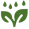 garden expert in wellington